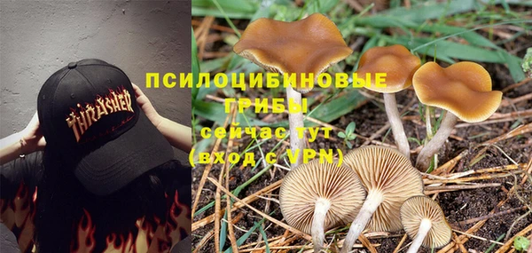 дурь Козловка