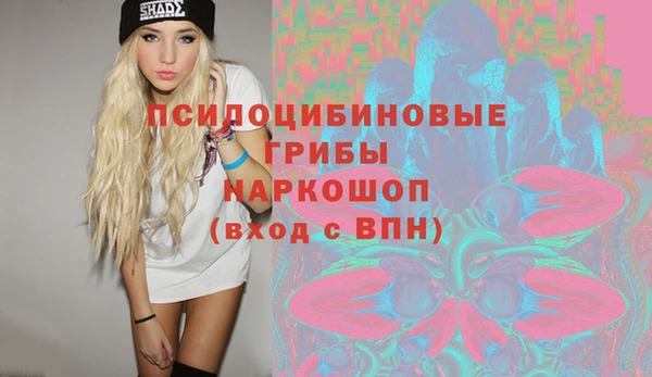 дурь Козловка