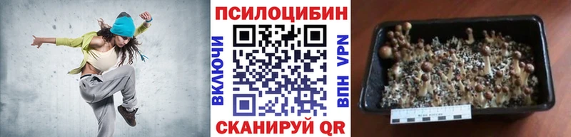 Псилоцибиновые грибы Magic Shrooms  Купить  Котельниково 